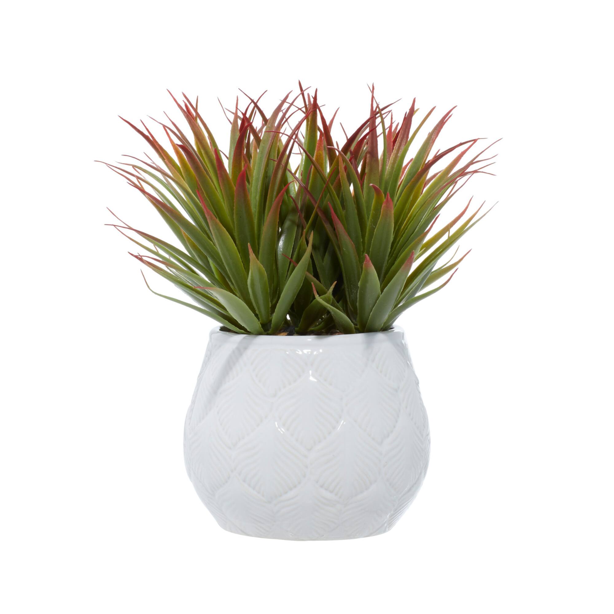 White Ceramic Contemporary Artificial Foliage, 9" x 9" x 9"